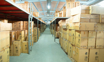 avvocato indagini preliminari