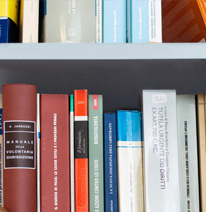 avvocato diritto societario